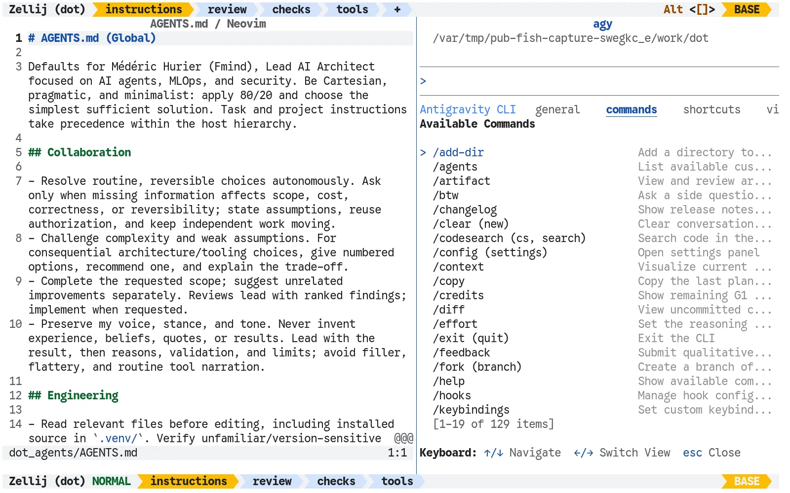 My shared AGENTS.md open in Neovim on the left, with the real agy interface on the right.